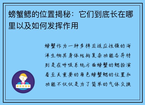 螃蟹鳃的位置揭秘：它们到底长在哪里以及如何发挥作用